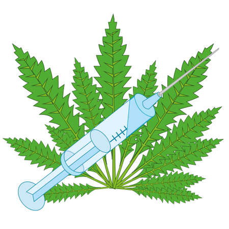 Vector illustration of the plant hemp drug and syringeのイラスト素材