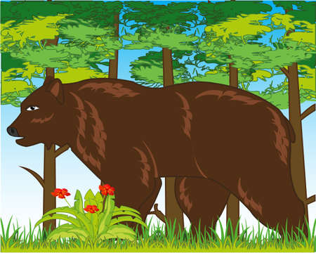 Wildlife brown bear in year wood daytimeのイラスト素材