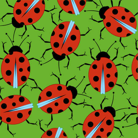 Insect ladybug decorative pattern on green backgroundのイラスト素材