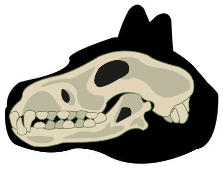 Silhouette of the head animal dog and skullのイラスト素材
