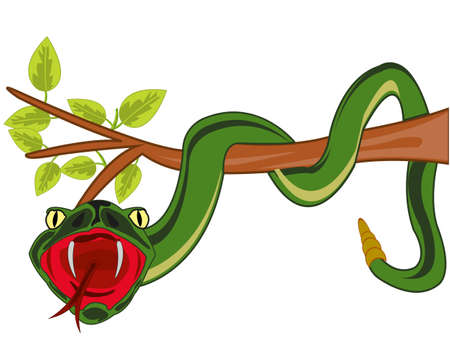 Reptile snake on branch tree with foliage