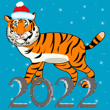 Vector illustration of the wildlife tiger as symbol of the new yearのイラスト素材