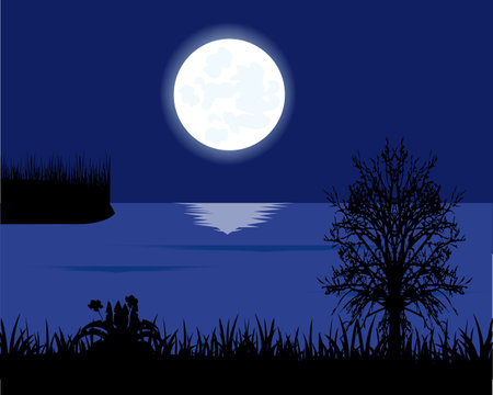 Moon night and coast lake with herb and treeのイラスト素材