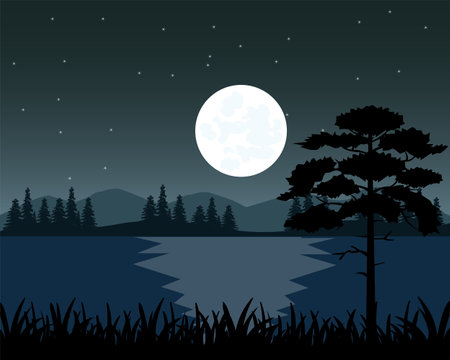 Beautiful landscape of the wild nature moon in the nightのイラスト素材