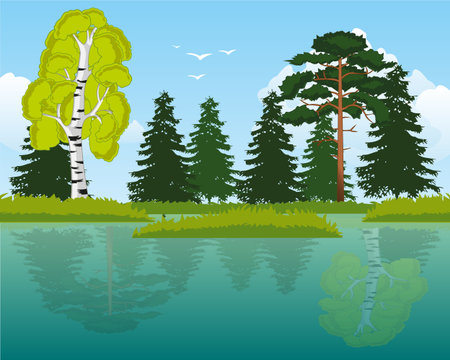 Transparent lake in wood and reflection in waterのイラスト素材