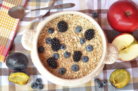 Decorative bowl of fine oat flakes with fresh fruit (blueberries, blackberries, apples, plums) on the checkered dishtowel - view from topの写真素材