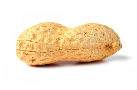 Unpeeled raw peanut isolated on white background