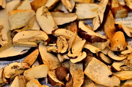 Chopped mushrooms ready for drying. Close-up.の写真素材