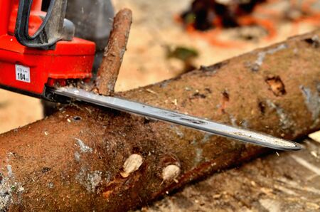 Detail of a chainsaw chain while cutting off branches from a tree trunk