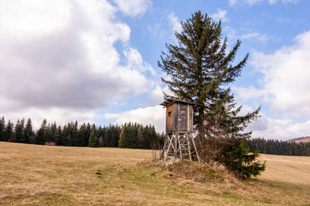 Wooden hunting high gamekeeper hidden for watching and hunting.の写真素材