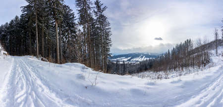 Winter snowy landscape in Jeseniky mountains. Road from Pomezi to viewpoint of Medvedi kamen.の写真素材