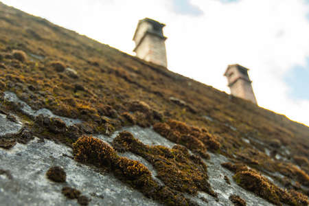 The old slate roof of the house was attacked and overgrown with moss in the first half of the 20th...