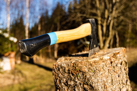 Axe cut into wood log after chopping firewoodの写真素材
