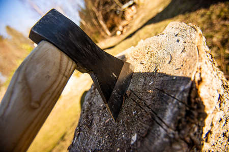 Detail of axe cut into wood log after chopping firewood.の写真素材