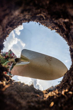 Digging a hole to plant the flower in a freshly ripped flowerbed with a garden shovel. Vertical photo. View from below.の写真素材