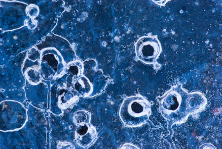 Abstract patterns in a frozen puddle.の写真素材