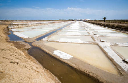 Portugal, Algarve. Saline marshes in Tavira.の写真素材