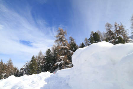 Swissの写真素材
