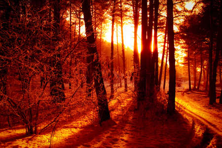 Alps at sunset - Poira(Valtellina) - Italyの写真素材