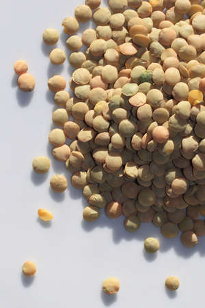 lentils の写真素材