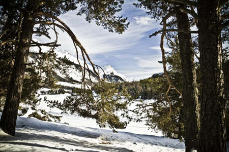 Engadina - Switzerlandの写真素材