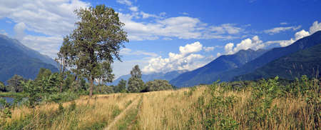 Landscape in north Italy, Pian di Spagna Oasisの写真素材