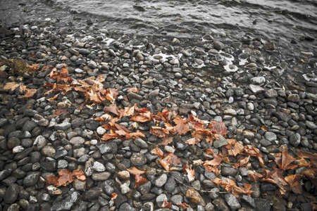 Autumnの写真素材