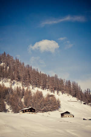Winter Alps (Livigno Foscagno)の写真素材