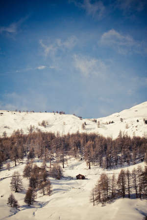 Winter Alps (Livigno Foscagno)の写真素材