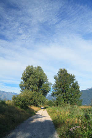 Mountainの写真素材