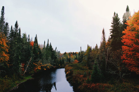 A calm river runs through a forest of green, yellow, and orange trees.の写真素材
