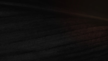 Black leaf wallpaper, dark backgroundの写真素材