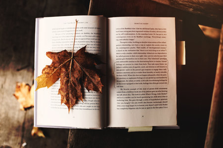 Maple leaf bookmark.の写真素材