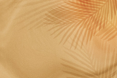Palm leaves shadow on a beige backgroundの写真素材