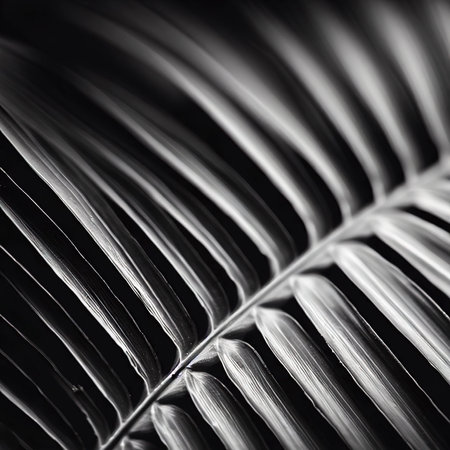 Palm leaf in black and whiteの素材