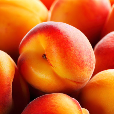 Fresh ripe juicy apricots fruit background close upの素材