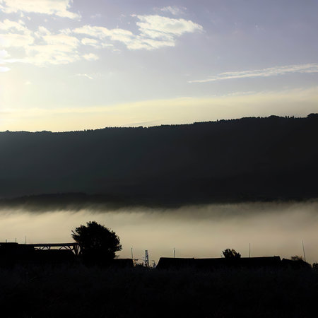 Morning landscapesの素材