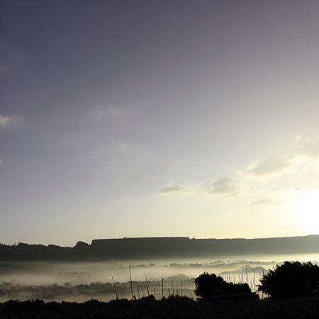 Morning landscapesの素材
