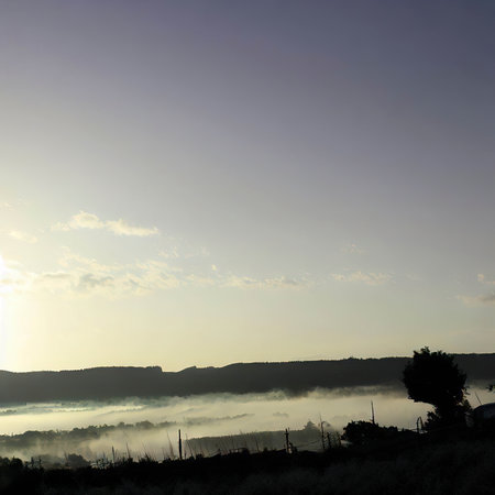 Morning landscapesの素材