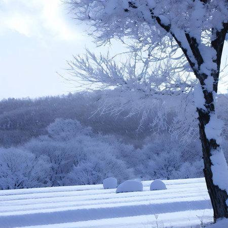 Winter landscapesの素材
