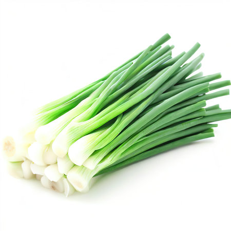 Asian chives isolated on white backgroundの素材