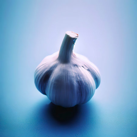 Garlic on the blue backgroundの素材