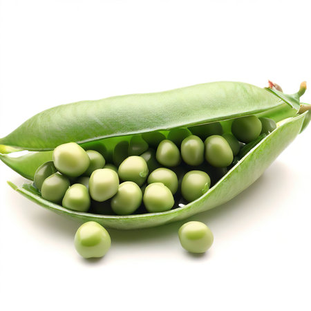 Green peas isolated on white backgroundの素材