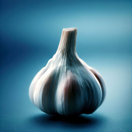 Garlic on the blue backgroundの素材