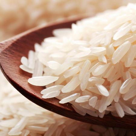 Rice on a wooden spoon close upの素材