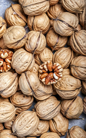 Background from fresh walnuts in the shellの素材