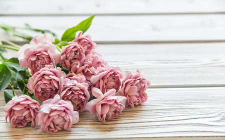 Pink flowers on white wooden background. Selective focusの素材