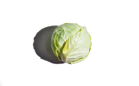 Fresh white cabbage on a white background. Top view, flat layの素材