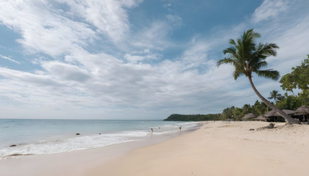beach under clear cloudy sky in Tropicanaの素材