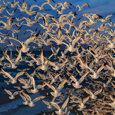 Flock of seagulls flying in the skyの素材